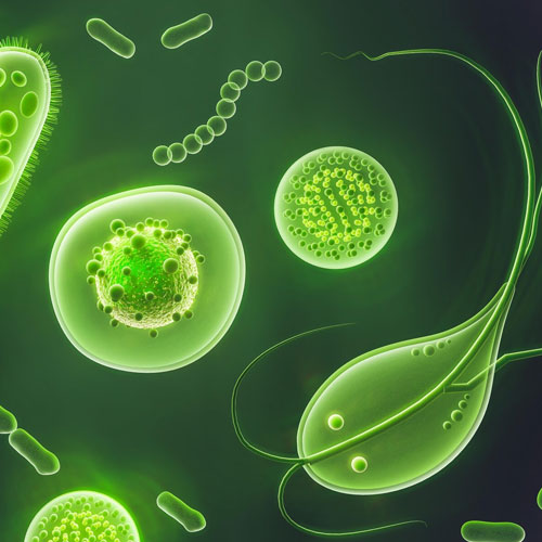 microbiology_banner microbiology_banner